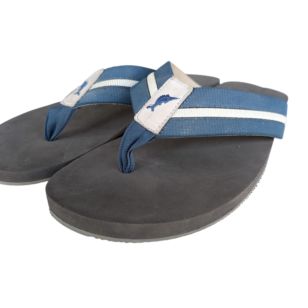 Blue and Gray Flip Flops